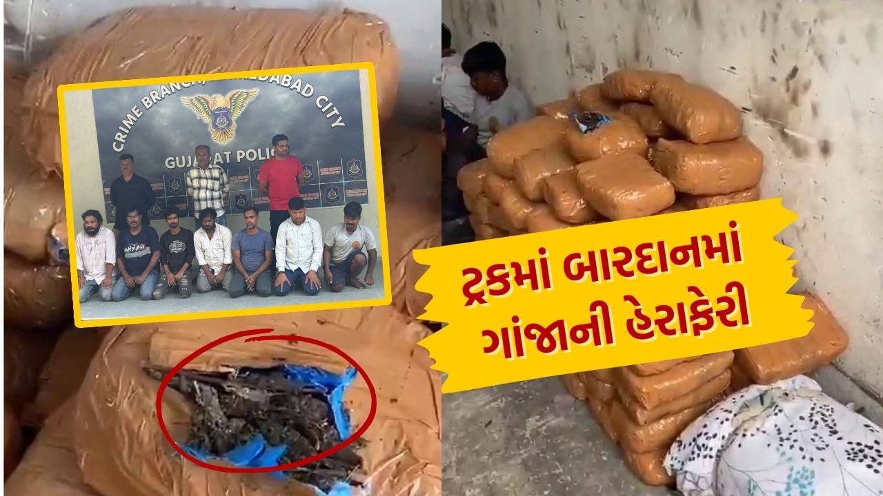 ઓડિશા થી અમદાવાદ – ટ્રકમાં બારદાનમાં હતો ગાંજાનો જથ્થો, ત્રણ રાજ્યો પાર કરીને ગુજરાત પહોંચાડ્યો, જુઓ Video