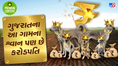 ગુજરાતના આ ગામના શ્વાન પણ છે કરોડપતિ, દર વર્ષે કમાય છે કરોડો રૂપિયા