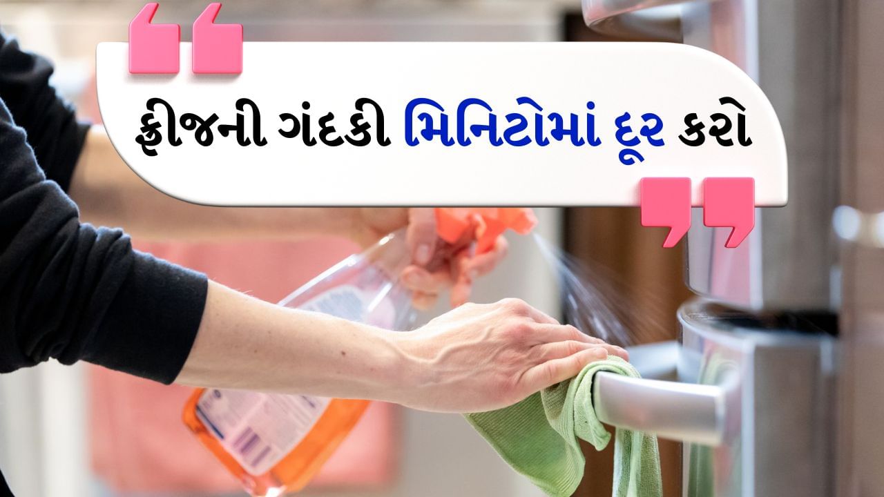 Refrigerator Cleaning Tips : ઘરને સુંદર બનાવવા માટે દરેક નાની-નાની બાબતોનું ધ્યાન રાખવું ખૂબ જ જરૂરી છે. કેટલીકવાર ઘરમાં હાજર કેટલીક વસ્તુઓ વર્ષો સુધી સાફ નથી થતી જે તમારા ઘરનો આખો લુક બગાડે છે. આવી સ્થિતિમાં જો તમારા ઘરના રસોડામાં રાખેલું રેફ્રિજરેટર ખરાબ દેખાવા લાગ્યું છે, તો આ બધી ટિપ્સ અપનાવીને તમે તેને પળવારમાં ચમકાવી શકો છો. આ ટિપ્સ ફ્રિજને ઝડપથી સાફ કરવામાં મદદ કરશે.
