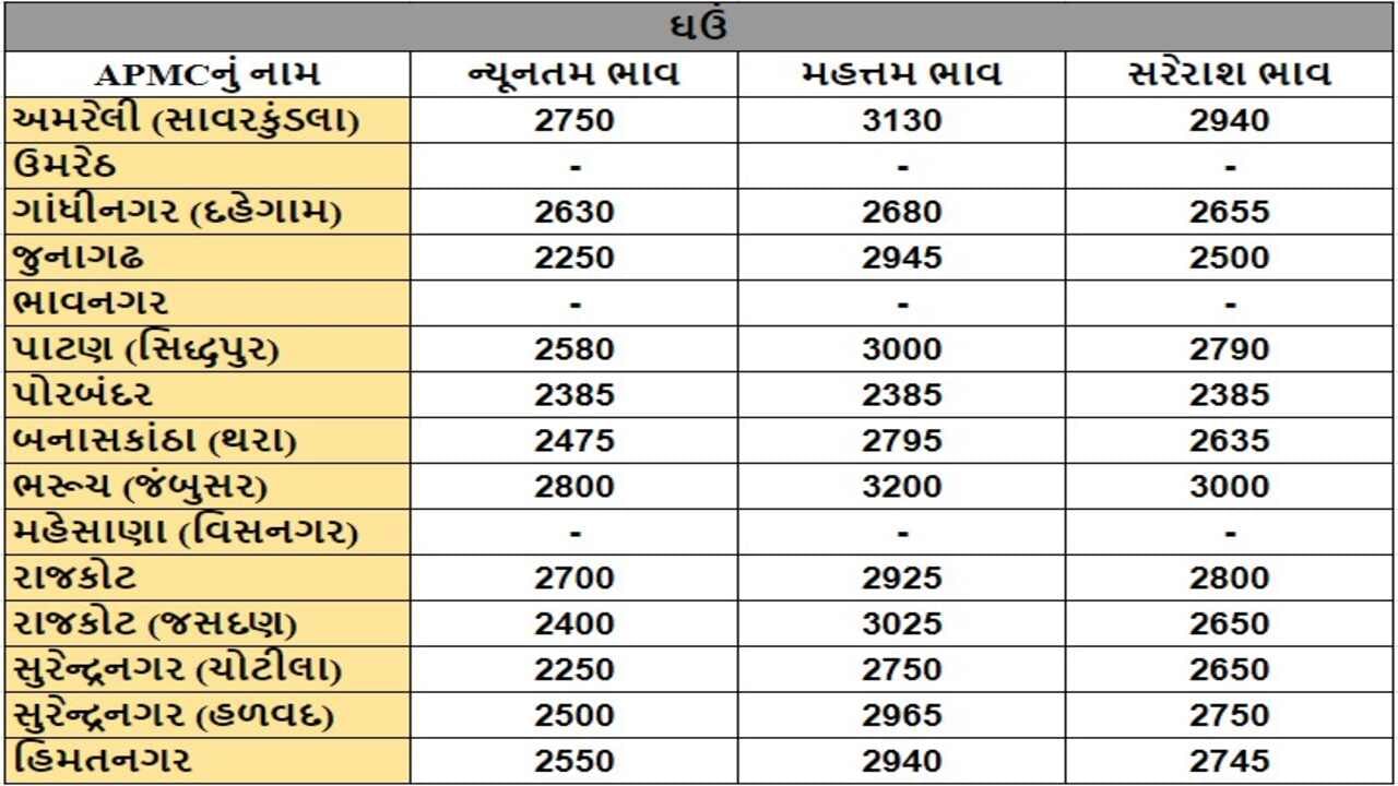 ઘઉંના તા.09-09-2024ના રોજ APMCના ભાવ રૂ.2250 થી 3200 રહ્યા.