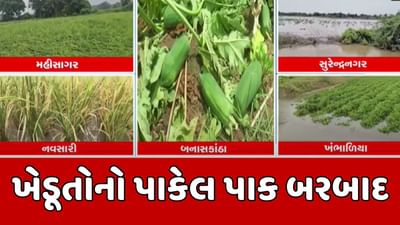 ભારે વરસાદના કારણે ખેતરોમાં ઉભો પાક થયો બરબાદ, ખેડૂતોનો મોઢે આવેલ કોળિયો છિનવાયો, જુઓ Video