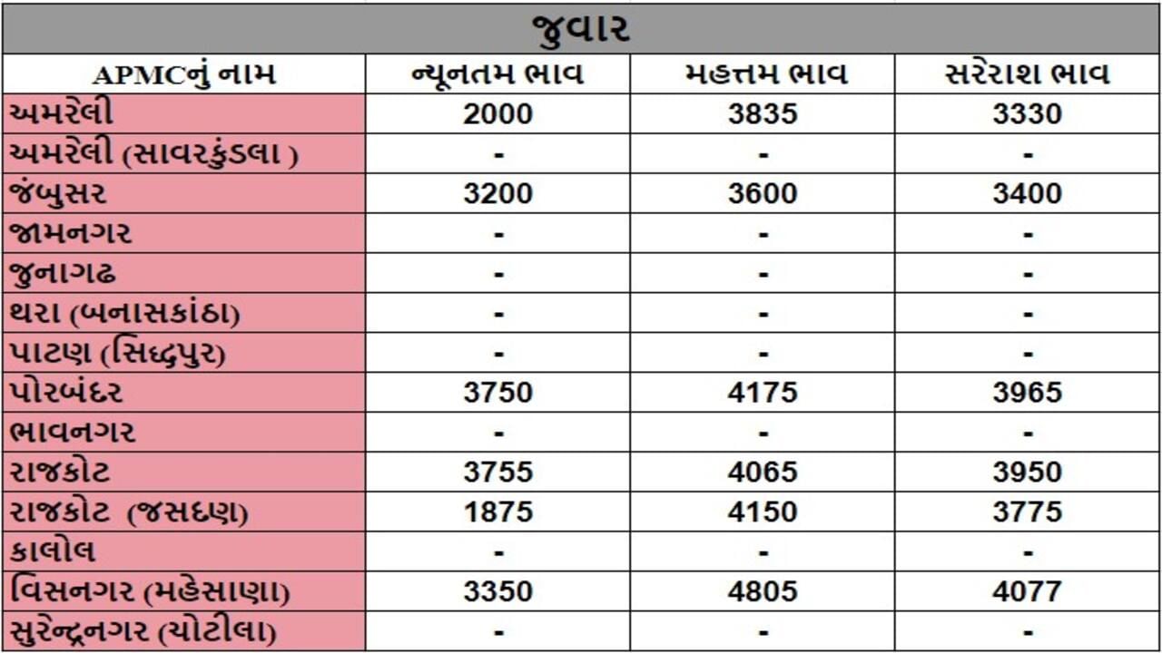 જુવારના તા.26-09-2024ના રોજ APMCના ભાવ રૂ.1875 થી 4805 રહ્યા.