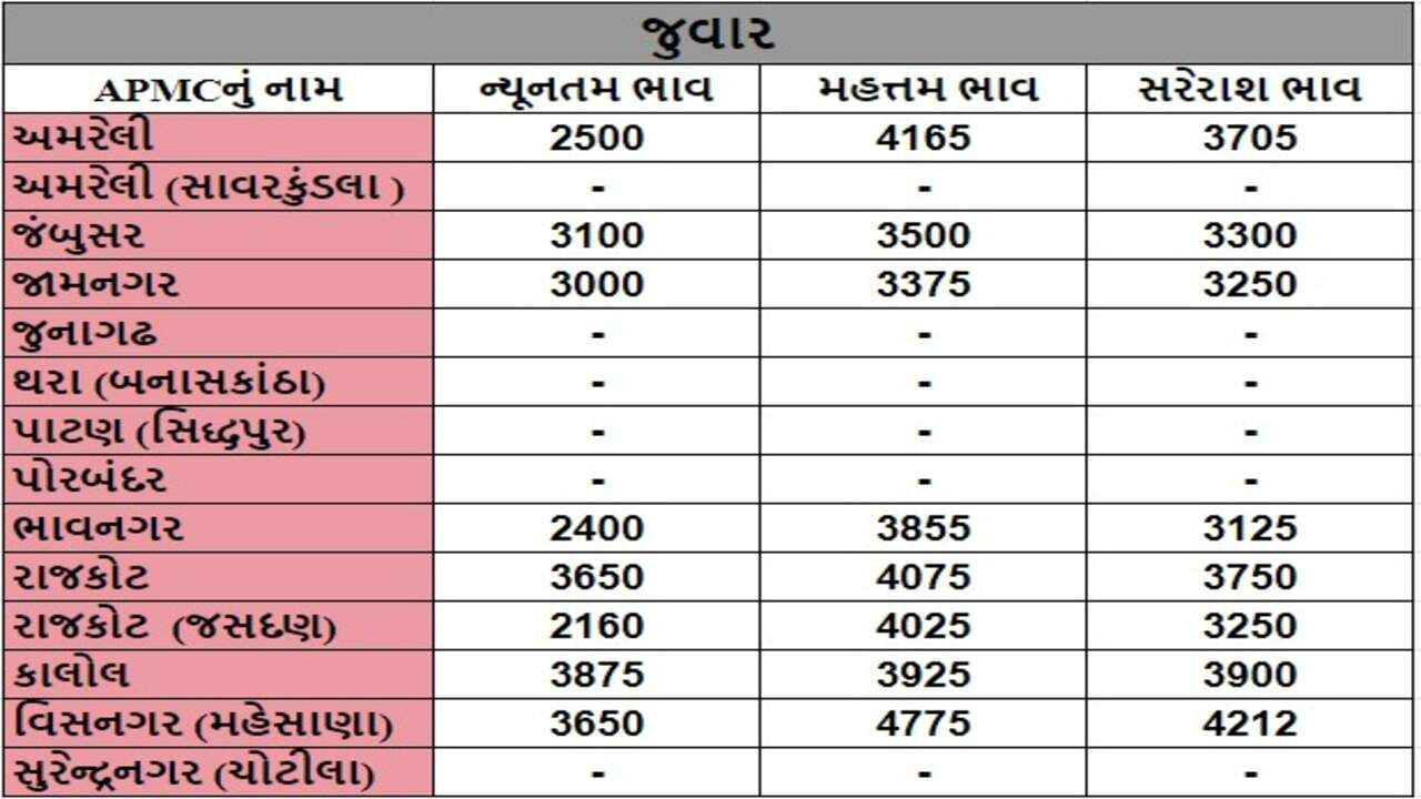 જુવારના તા.11-09-2024ના રોજ APMCના ભાવ રૂ.2160 થી 4775 રહ્યા.