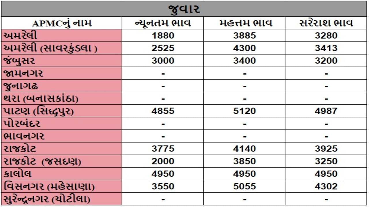 જુવારના તા.21-09-2024ના રોજ APMCના ભાવ રૂ.1880 થી 5120 રહ્યા.