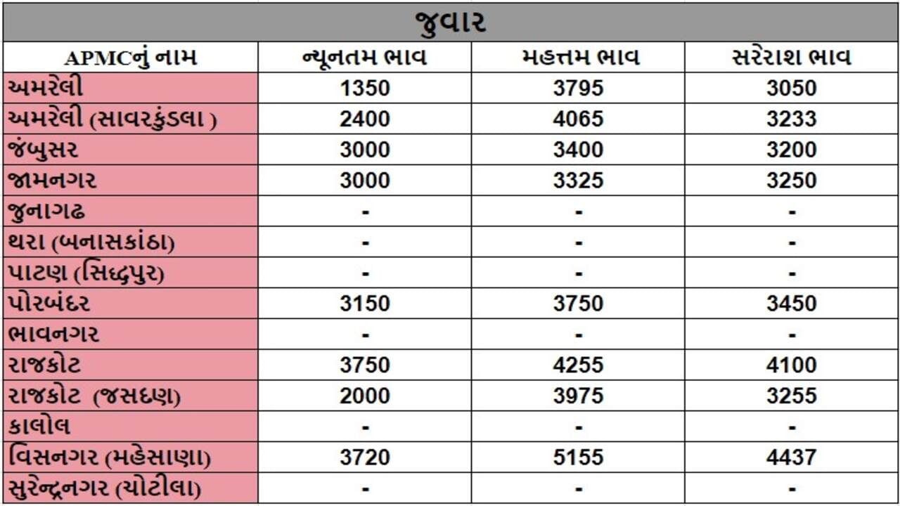 જુવારના તા.21-09-2024ના રોજ APMCના ભાવ રૂ.1350 થી 5155 રહ્યા.