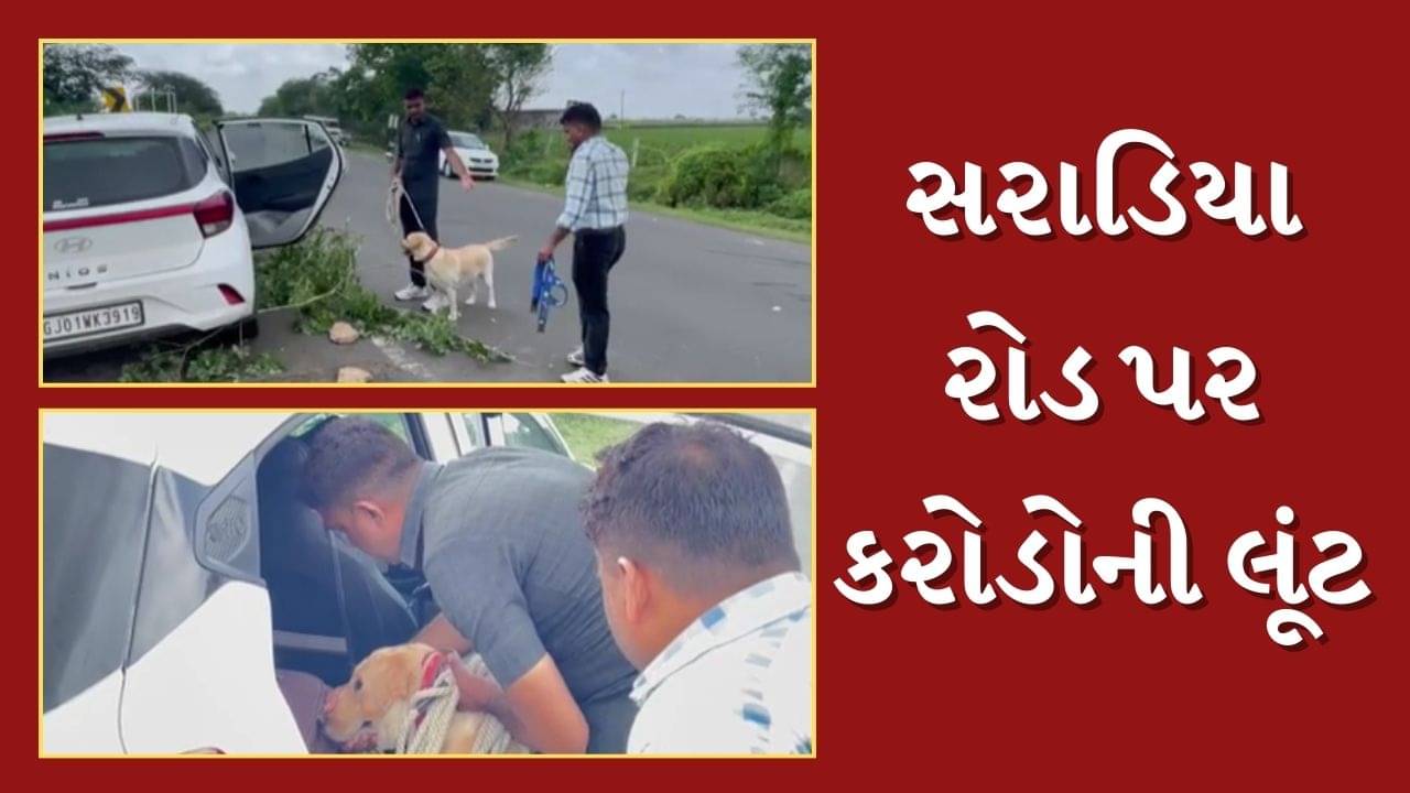 Junagadh News : માણાવદરના સરાડિયા રોડ પર વેપારી પાસેથી 1 કરોડથી વધુના સોનાની લૂંટ, CCTV આવ્યા સામે, જુઓ Video