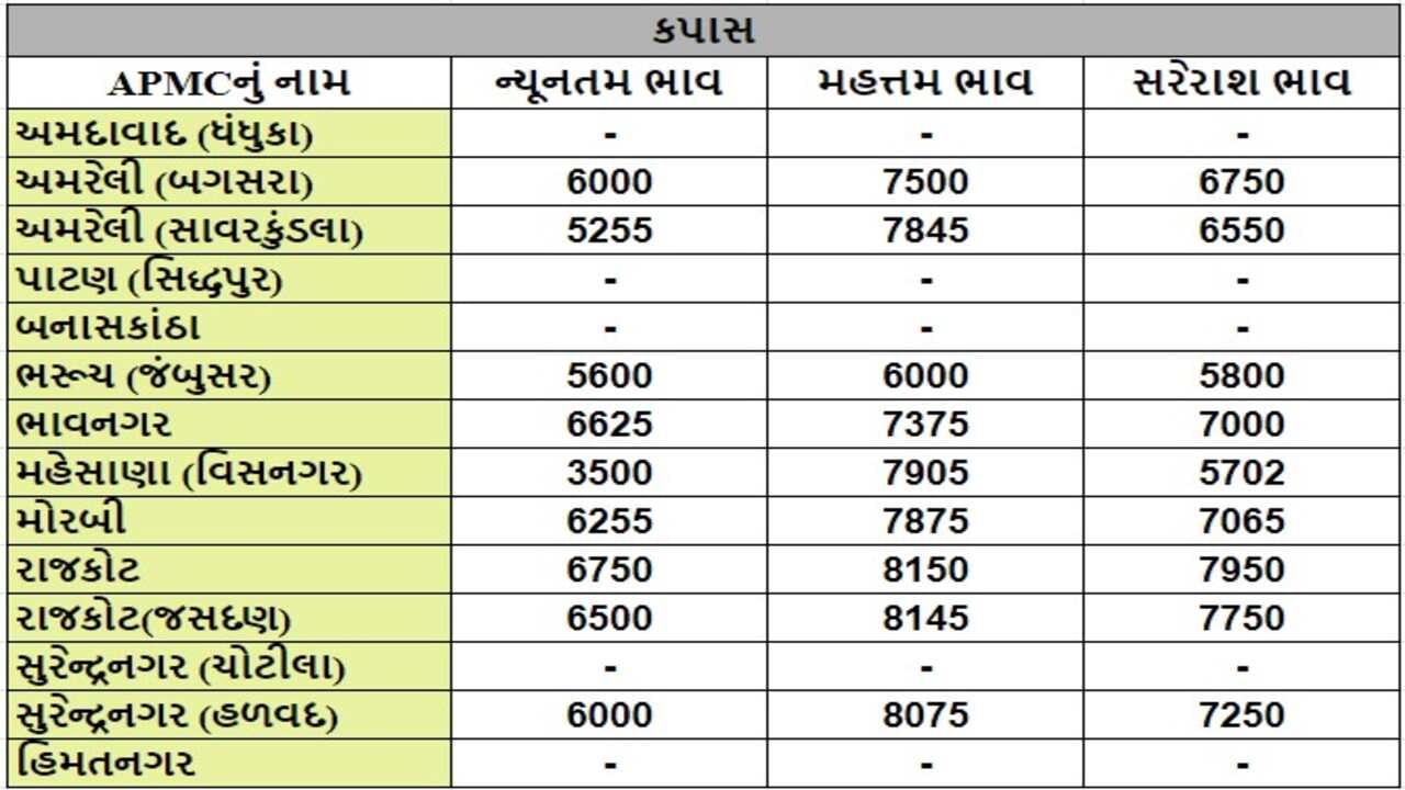 કપાસના તા.24-09-2024ના રોજ APMCના ભાવ રૂ.3500 થી 8150 રહ્યા.