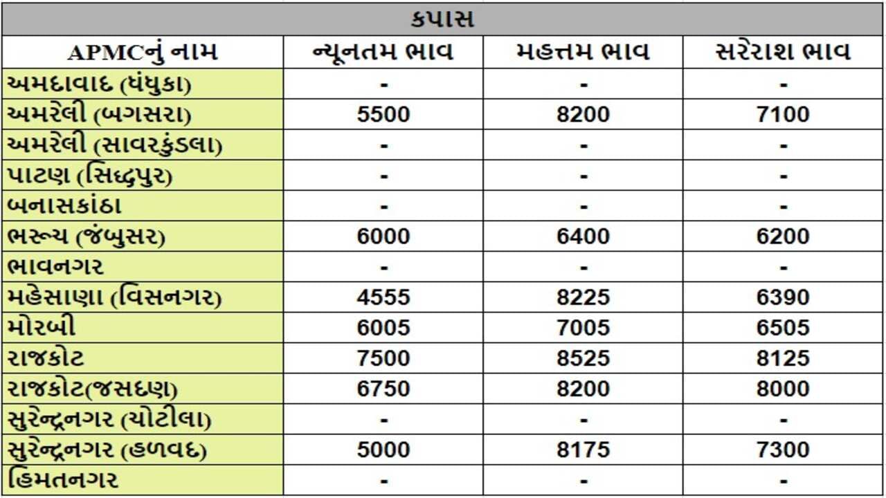 કપાસના તા.17-09-2024ના રોજ APMCના ભાવ રૂ.4555 થી 8525 રહ્યા.