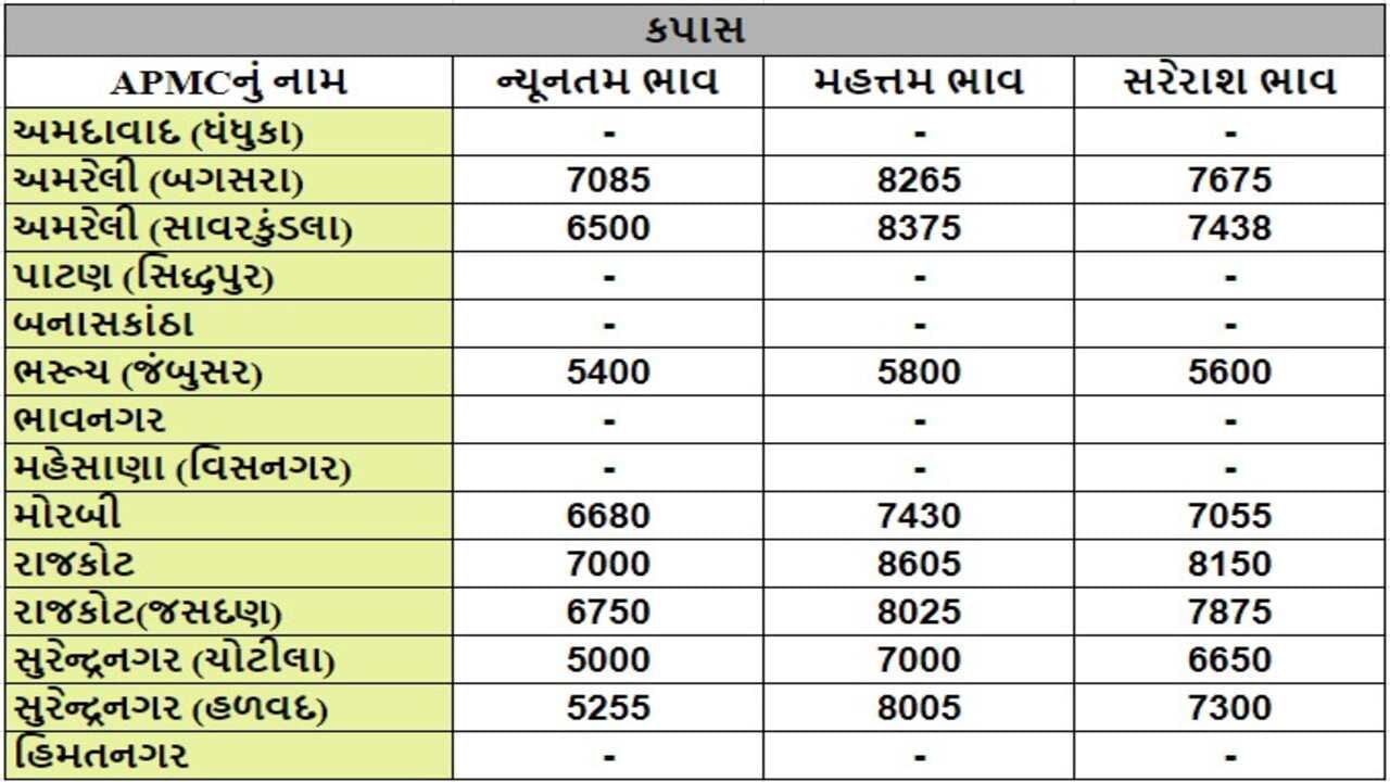 કપાસના તા.18-09-2024ના રોજ APMCના ભાવ રૂ.5000 થી 8605 રહ્યા.