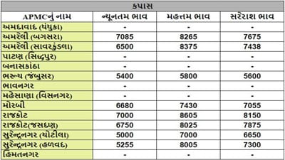 કપાસના તા.18-09-2024ના રોજ APMCના ભાવ રૂ.5000 થી 8605 રહ્યા.