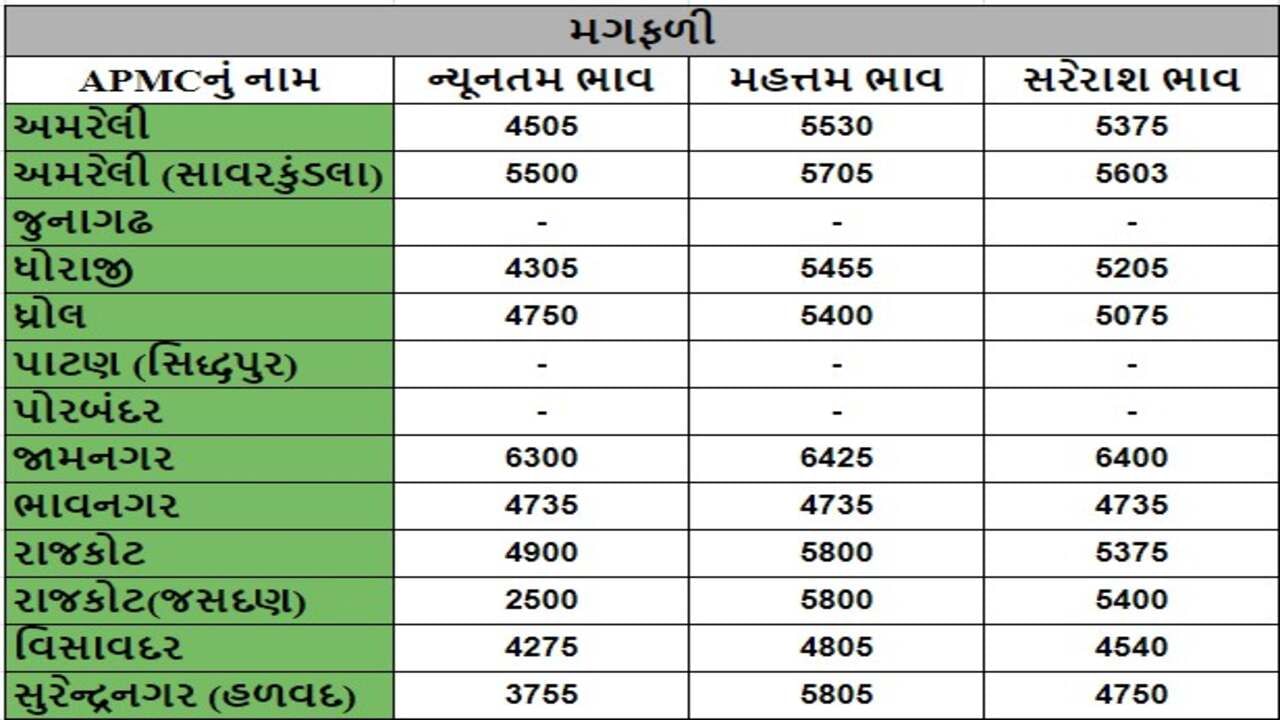 મગફળીના તા.11-09-2024ના રોજ APMCના ભાવ રૂ.2500 થી 6425 રહ્યા.