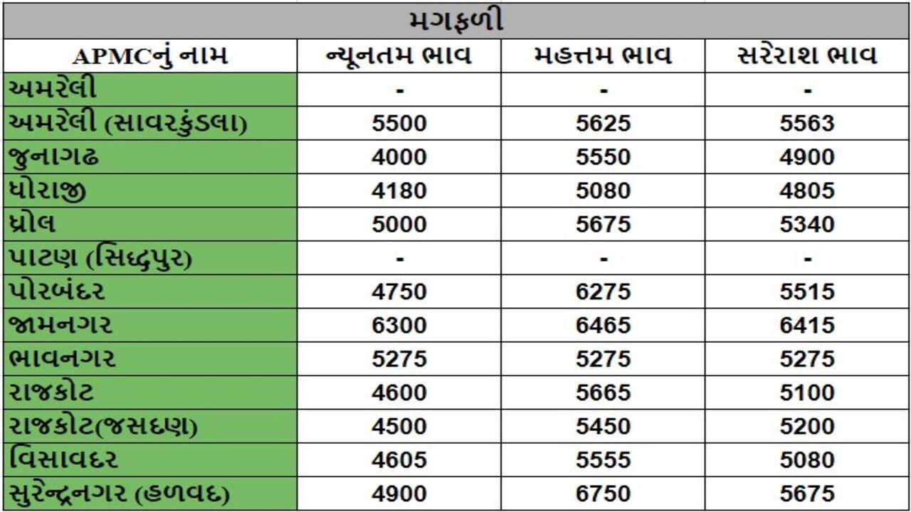 મગફળીના તા.18-09-2024ના રોજ APMCના ભાવ રૂ.4000 થી 6750 રહ્યા.