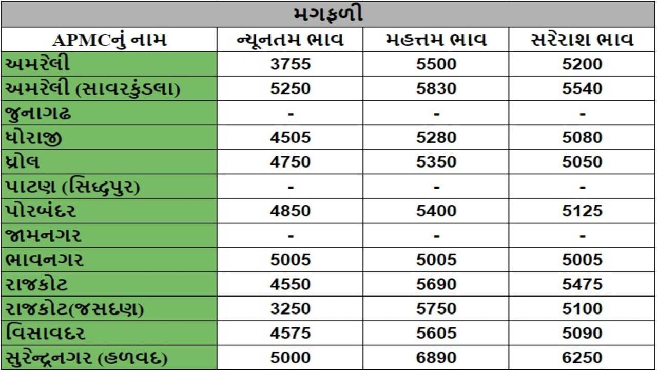 મગફળીના તા.21-09-2024ના રોજ APMCના ભાવ રૂ.3250 થી 6890 રહ્યા.