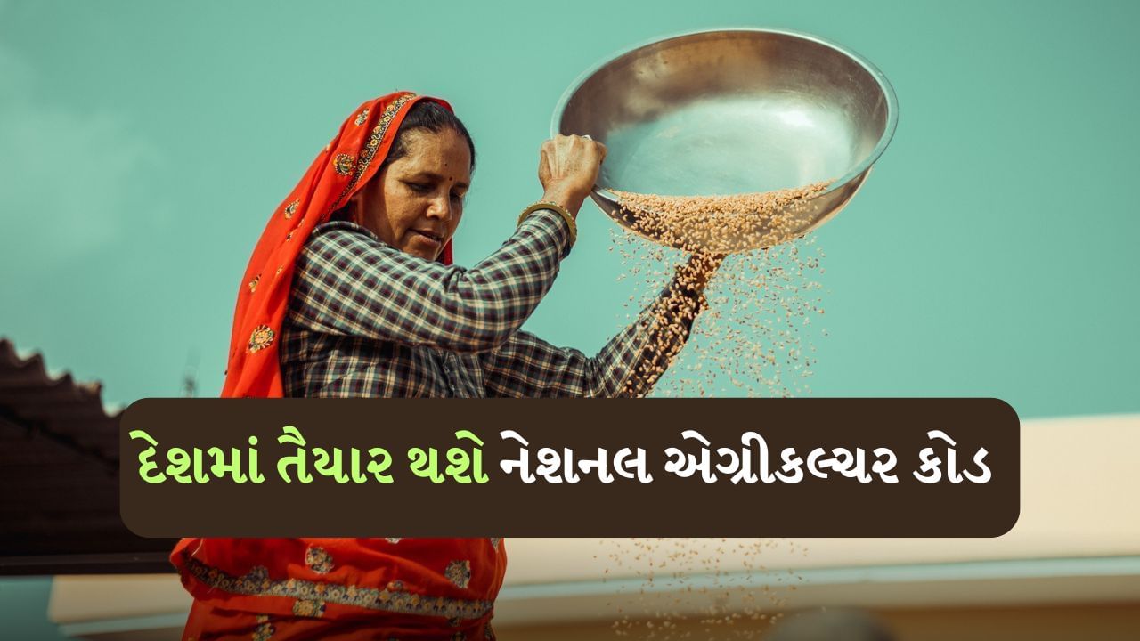 મસાલામાં જંતુનાશકો મળ્યા બાદ હવે સરકારે લીધો મોટો નિર્ણય, દેશમાં તૈયાર થશે National Agriculture Code