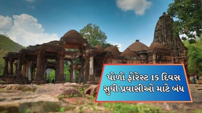 પોળોના જંગલ ફરવા જવાનું વિચારતા હોવ તો માંડી વાળજો ! 15 દિવસ માટે પ્રવાસીઓ માટે છે બંધ, જુઓ Video