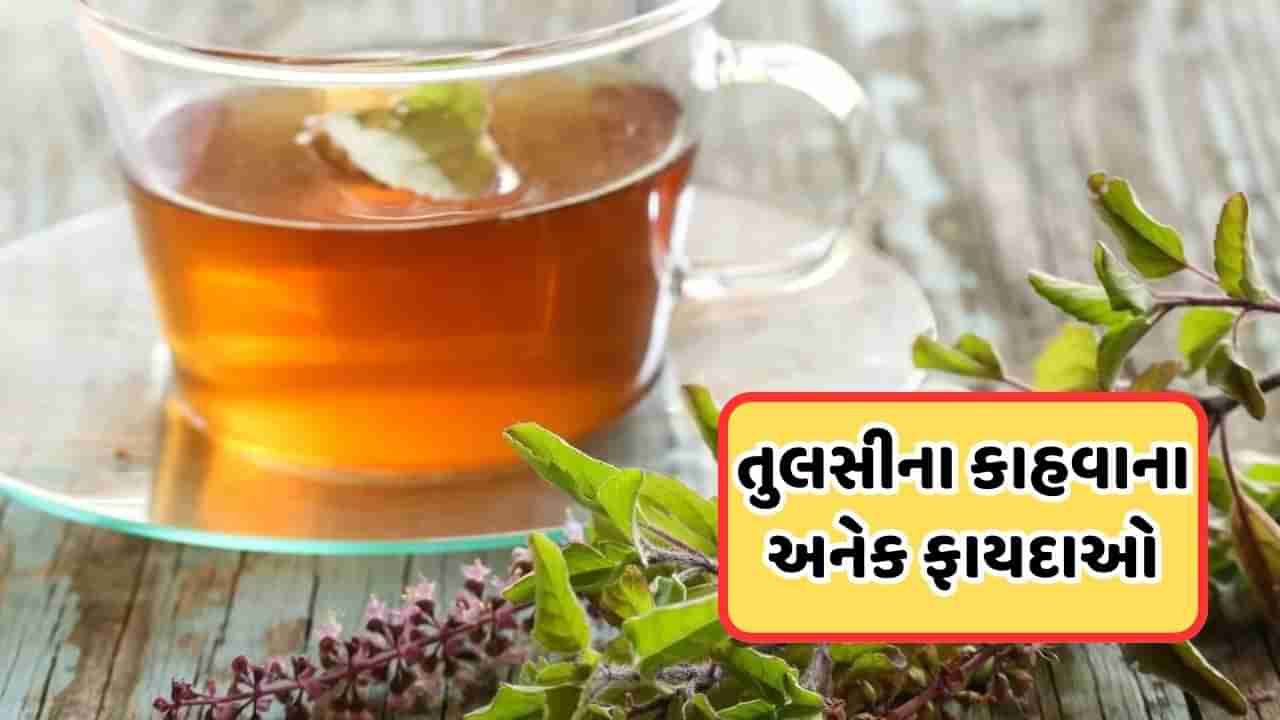 Health Tip: વરસાદ સિઝનમાં થઈ ગઈ છે શરદી અને ઉધરસ, તો આજે જ ઘરે બનાવો આ દેશી ઉકાળો