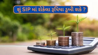 શું SIP માં રોકેલા રૂપિયા ડૂબી શકે ? જો હા.. તો કેવી રીતે બચવું