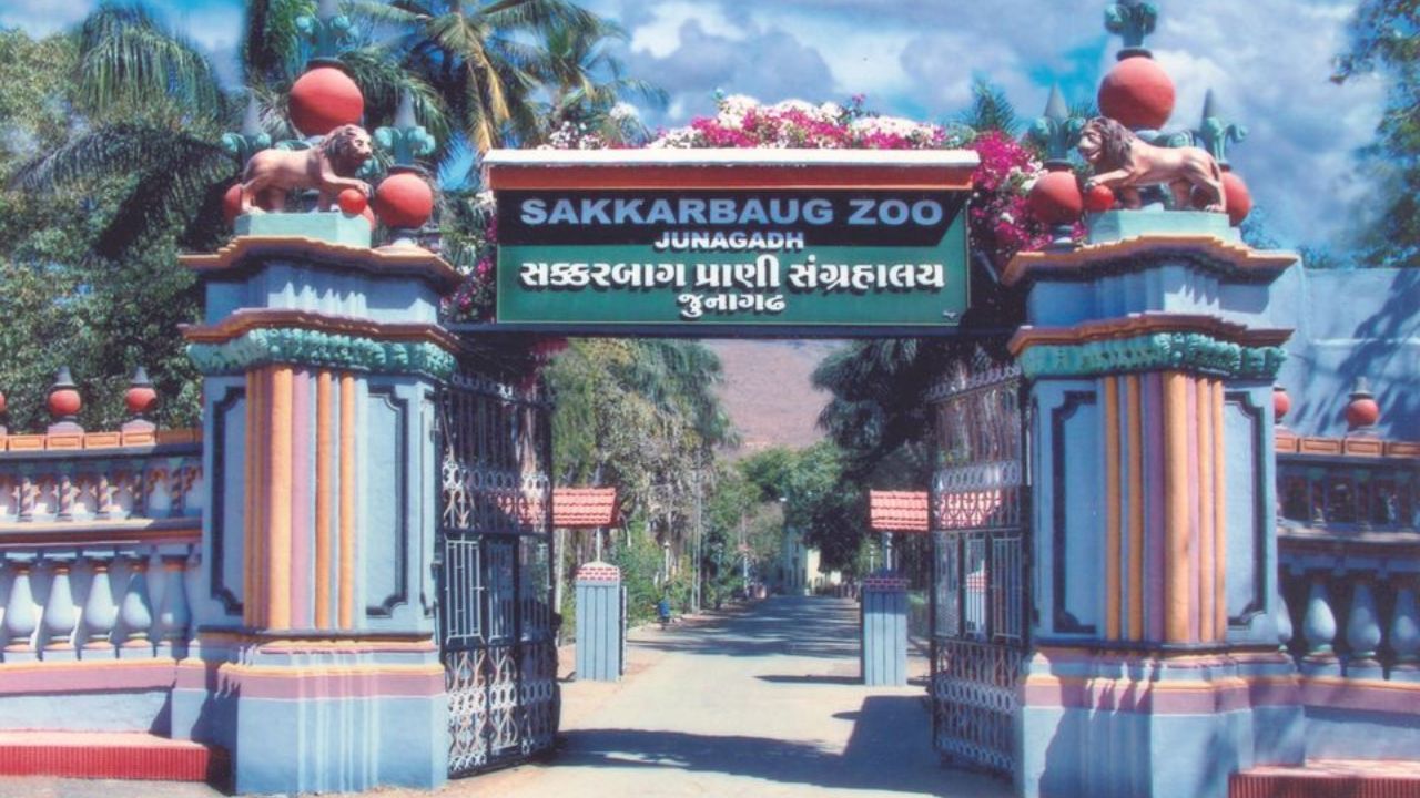 Sakkarbagh Zoo (2)