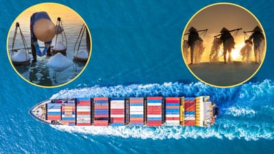 આપણી પૃથ્વીના 70 ટકા ભાગ પર પાણી આવેલું છે અને આમાંથી 97 ટકા પાણી મહાસાગરો અને સમુદ્રોમાં છે. આપણે જે મીઠું ખાઈએ છીએ તે દરિયામાંથી જ કાઢવામાં આવે છે. દરિયાનું પાણી ખૂબ જ ખારું હોય છે.