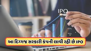 Government Company IPO: આઈપીઓ લાવવાની તૈયારી કરી રહી છે આ મોટી સરકારી કંપની, રિન્યુએબલ એનર્જી પર ફોકસ