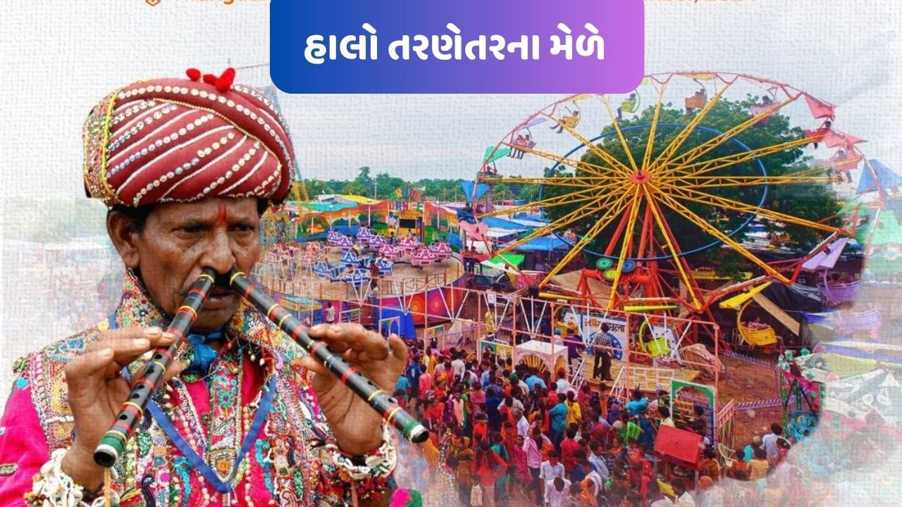 જો તમારે તરણેતરના મેળામાં જવું હોય તો સૌથી પહેલા તમારે સુરેન્દ્રનગર જવાનું રહેશે. ત્યાંથી થાનગઢ અહિ થોડા કિલોમીટર દુર તરણેતરનો મેળો ભરાય છે. ચોટીલાથી 39 કિલોમીટર દુર આવેલું છ. તરણેતરમાં મેળામાં તમે બસ, કે પછી પ્રાઈવેટ કાર દ્વારા જઈ શકો છો. તેમજ ટ્રેનમાં જવું હોય તો સુરેન્દ્ર નગર સુધી ટ્રેનમાં બેસી, ત્યાંથી વાહનમાં તરણેતરના મેળામાં જઈ શકો છો.