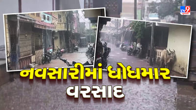 Navsari Rain : ઉપરવાસમાં ધોધમાર વરસાદ ખાબક્તા પૂર્ણા નદીની જળ સપાટીમાં વધારો, જુઓ Video