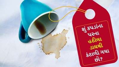 ઘરે કામ કરતી વખતે અથવા કોઈપણ પ્રવૃત્તિ દરમિયાન, કપડાં પર ચા, કોફી, શાકભાજી વગેરેથી વારંવાર ડાઘ પડી જાય છે. ઘણી વખત ડિટર્જન્ટથી ડાઘ સાફ કરી શકાય છે, પરંતુ કેટલાક ડાઘા હઠીલા હોય છે અને તેના કારણે તમારો મનપસંદ શર્ટ, સાડી કે ટોપ બગડી જાય છે. કેટલાક કપડાં ખૂબ જ મોંઘા હોય છે અને જો તે ડાઘ પડી જાય તો તે પહેરી શકાતા નથી. જો તમારી પાસે પણ આવા કોઈ કપડાં છે જેના પર ચા, કોફી, શાકભાજી કે શાહીથી ડાઘ લાગેલા હોય તો મોંઘા ડિટર્જન્ટ કે સાબુની જગ્યાએ ઘરમાં રાખેલી કેટલીક વસ્તુઓનો ઉપયોગ કરવાની જરૂર છે.
