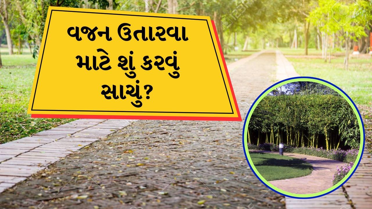 Walking in garden : આજકાલ ઘણા લોકો વજન ઘટાડવા માટે ડાયટ લે છે, કસરત કરે છે અને જીમમાં જાય છે. આ માટે લોકો ઘણી પદ્ધતિઓ અપનાવે છે. ઘણા લોકો તૂટક-તૂટક ઉપવાસ જેવા આહારનું પાલન કરે છે. ઘણા લોકો ત્યાં ફરવા જાય છે. તેમજ ખોરાકના સેવનને નિયંત્રિત કરવું અને દરરોજ ઓછામાં ઓછી 30 મિનિટની શારીરિક પ્રવૃત્તિ જેમ કે ચાલવું, દોડવું, યોગ અથવા જીમમાં જવું ખૂબ જ મહત્વપૂર્ણ છે. પરંતુ આજે આપણે વાત કરીશું કે વજન ઘટાડવા માટે ટ્રેડમિલ પર ચાલવું વધુ સારું કે ટહેલવું વધું સારું છે.
