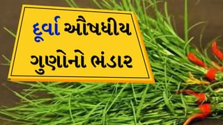 ઔષધીય ગુણોનો ભંડાર છે ગણેશજીની પૂજામાં વપરાતું દૂર્વા ઘાસ, ફાયદા જાણીને રહી જશો દંગ