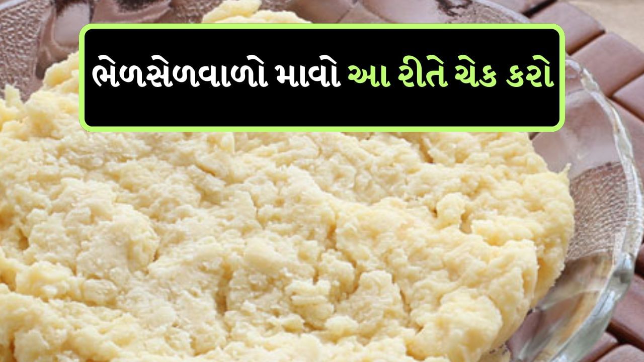 Real or fake mawa : 10 દિવસીય ગણેશ ઉત્સવ 7 સપ્ટેમ્બર 2024 થી ગણેશ ચતુર્થી સાથે શરૂ થશે. આ સમય દરમિયાન ભક્તો બાપ્પાને ઘણી વસ્તુઓ અર્પણ કરે છે. જેમાંથી મોદક તેમને સૌથી પ્રિય માનવામાં આવે છે. લોકો પોતાના ઘરે મોદક પણ બનાવે છે અને લોકો માવા એટલે કે ખોયા મોદક ખૂબ પસંદ કરે છે. જો તમે ઘરે ઢોયા ભરીને મોદક બનાવી રહ્યા છો અને બજારમાંથી માવો ખરીદી રહ્યા છો, તો ભેળસેળની શક્યતાઓ ઘણી વધારે છે, પરંતુ કેટલીક સરળ ટિપ્સની મદદથી તમે માવાને યોગ્ય રીતે ઓળખી શકો છો.
