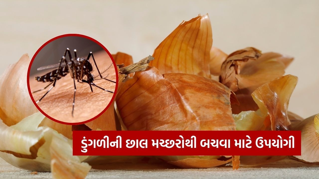 તમે ડુંગળીના છાલની ગંધ વડે માખીઓ અને મચ્છરોને ભગાડી શકો છો. આ માટે ડુંગળીની છાલને પાણીમાં પલાળી દો અને તેને સ્પ્રે બોટલમાં ભરી લો. આ પાણીનો છંટકાવ કરવાથી માખીઓ, મચ્છર અને અન્ય જીવજંતુઓ દૂર રહે છે.