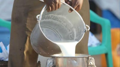 દૂધ આપણા સ્વાસ્થ્ય માટે ખૂબ જ ફાયદાકારક છે. આ પીવાથી આપણા શરીરને ઘણા પોષક તત્વો મળે છે. કેલ્શિયમથી ભરપૂર હોવાથી હાડકાં અને મગજ મજબૂત બને છે. પરંતુ, વિચારો કે આ દૂધ તમારા સ્વાસ્થ્યનું દુશ્મન બની જાય તો? હકીકતમાં, આ દિવસોમાં ભેળસેળયુક્ત દૂધ બજારમાં આડેધડ વેચાઈ રહ્યું છે.