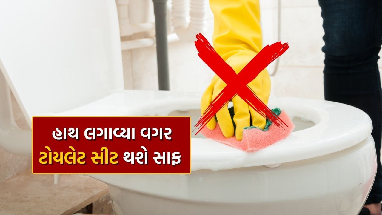 toilet seat cleaning hacks remove bad smell (1)