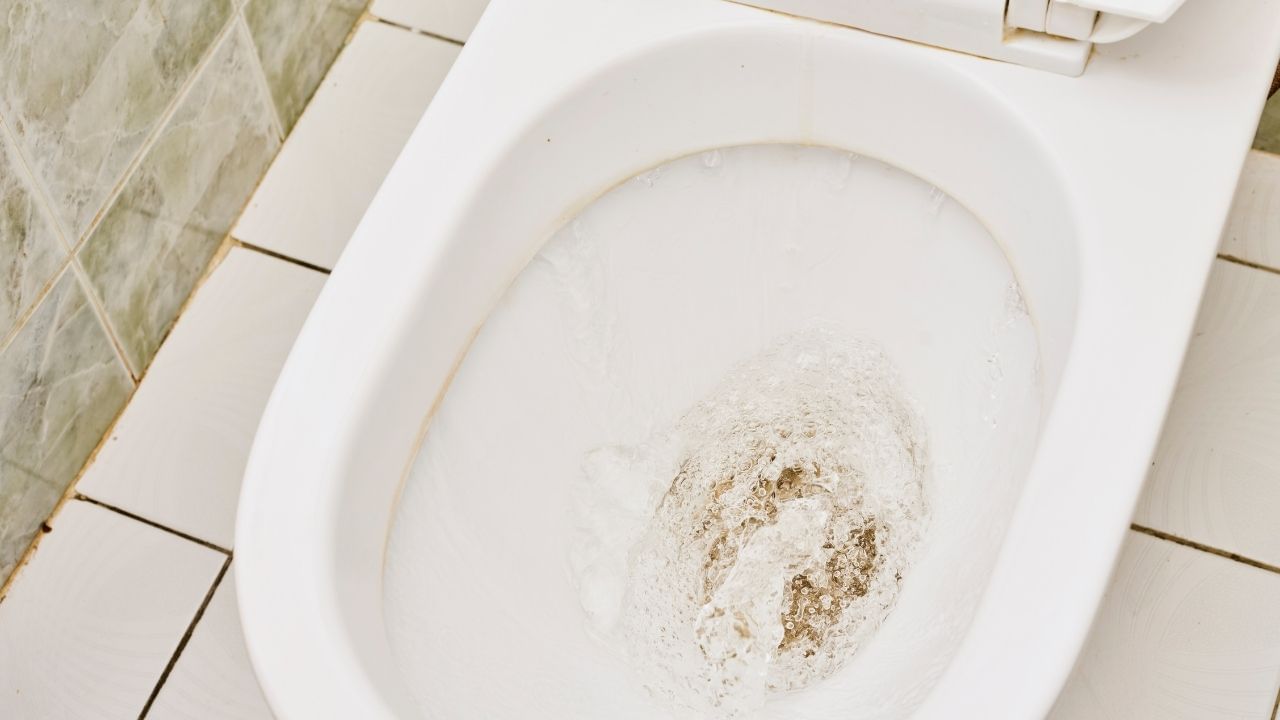 toilet seat cleaning hacks remove bad smell (2)