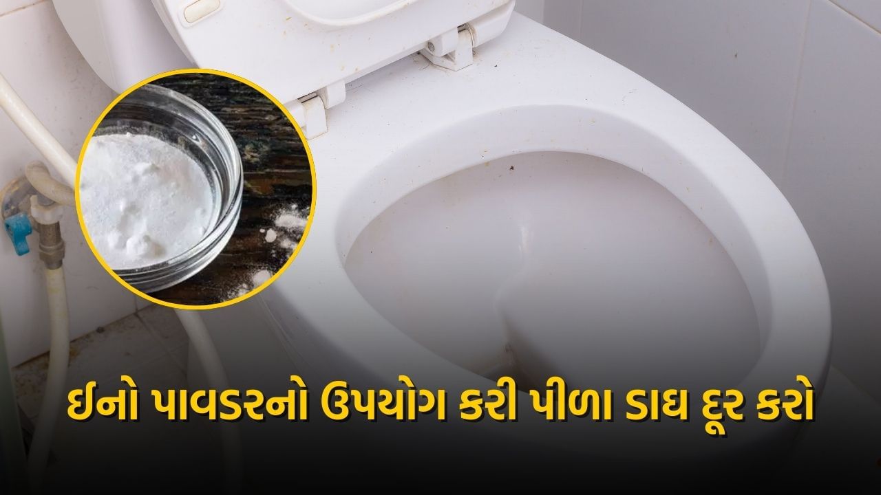 શૌચાલયમાંથી હઠીલા પીળા ડાઘ દૂર કરવા માટે પણ ઈનો પાવડરનો ઉપયોગ કરી શકાય છે. આ માટે સૌ પ્રથમ તમારે થોડું ટોયલેટ ક્લીનર લેવું પડશે અને તેમાં ઈનો પાવડર મિક્સ કરવો પડશે. હવે તૈયાર લિક્વિડને ટોયલેટ સીટ અને ગંદી ટાઇલ્સ પર રેડો અને ઓછામાં ઓછા 15 મિનિટ રહેવા દો. 15 મિનિટ પછી ફ્લશ ચાલુ કરો. ટોયલેટ સીટની બધી પીળાશ અને ગંદકી સરળતાથી દૂર થઈ જશે અને તમારે વધારે મહેનત કરવી પડશે નહીં.