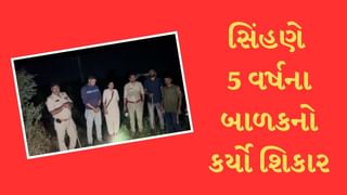 Amreli :  જાફરાબાદના નવી જીકાદ્રી ગામમાં સિંહણે કર્યો બાળકનો શિકાર, બાળકનું મોત, જુઓ Video