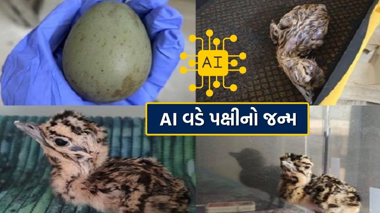 સરહદી જિલ્લા જેસલમેરના સુદાસરી ગોદાવન સંવર્ધન કેન્દ્રમાં કૃત્રિમ બીજદાન (AI) દ્વારા ગોદાવનના બાળકનો જન્મ થયો હતો. એવો દાવો કરવામાં આવી રહ્યો છે કે ભારત આવું કરનાર વિશ્વનો પહેલો દેશ છે, હવે આ પ્રક્રિયા દ્વારા આ દુર્લભ પ્રજાતિ જે લુપ્ત થવા જઈ રહી છે તેને બચાવી લેવામાં આવશે. ડીએફઓ આશિષ વ્યાસે જણાવ્યું હતું કે, આ પ્રકારનો આ પ્રથમ કિસ્સો છે, જ્યારે કૃત્રિમ બીજદાનની મદદથી સંવર્ધન કરીને ગોદાવન બનાવવામાં આવ્યું છે. આ રીતે, ગોદાવનના શુક્રાણુઓને બચાવવાથી બેંક બનાવવામાં અને તેની વસ્તી વધારવામાં મદદ મળશે.