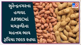 સુરેન્દ્રનગરના હળવદ APMCમાં મગફળીના મહત્તમ ભાવ રૂપિયા 7015 રહ્યા, જાણો જુદા-જુદા પાકના ભાવ