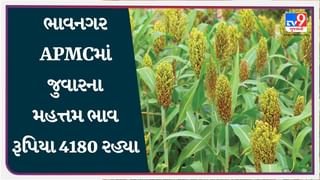 ભાવનગર APMCમાં જુવારના મહત્તમ ભાવ રૂપિયા 4180 રહ્યા, જાણો જુદા-જુદા પાકના ભાવ