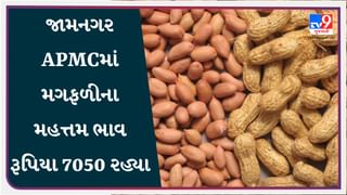 જામનગર APMCમાં મગફળીના મહત્તમ ભાવ રૂપિયા 7050 રહ્યા, જાણો જુદા-જુદા પાકના ભાવ