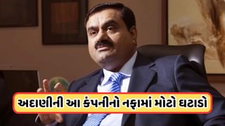 Adani Company Profit : 43% ઘટ્યો અદાણીની કંપનીનો નફો, એક મહિનાથી સુસ્ત છે આ શેર