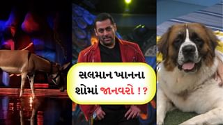 Bigg Boss 18 : કૂતરા પછી હવે ગધેડો, સલમાન ખાનના શોમાં જાનવરો કેમ આવવા લાગ્યા?