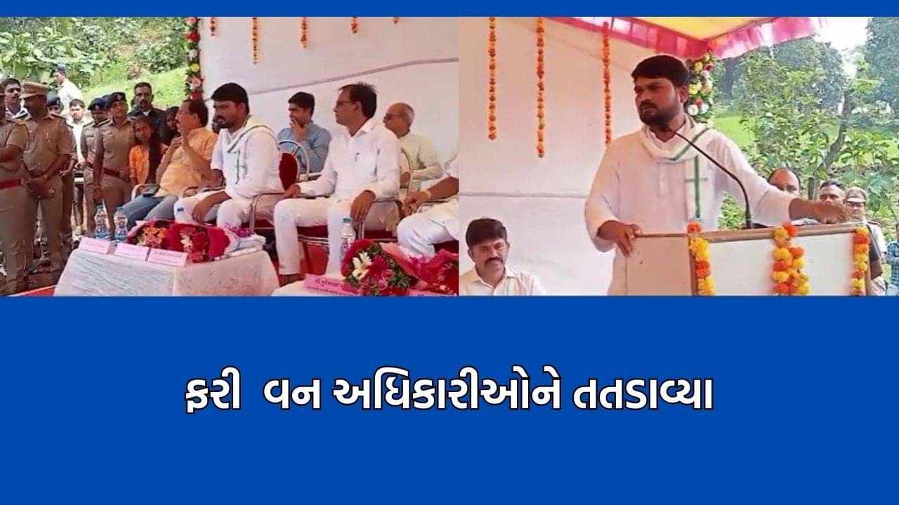 ફરી ધારાસભ્ય ચૈતર વસાવાના રોષનો ભોગ બન્યા વનવિભાગના અધિકારીઓ, વનમંત્રીની હાજરીમાં જ લીધો ઉધડો- Video