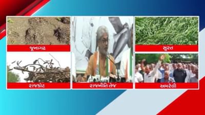 પાછોતરા વરસાદે સૌરાષ્ટ્રના ખેડૂતોને કર્યા પાયમાલ, તૈયાર પાક પર પાણી ફરી વળતા આભ ફાટ્યા જેવી સ્થિતિ- Video પાછોતરા વરસાદે સૌરાષ્ટ્રના ખેડૂતોને કર્યા પાયમાલ, તૈયાર પાક પર પાણી ફરી વળતા આભ ફાટ્યા જેવી સ્થિતિ- Video