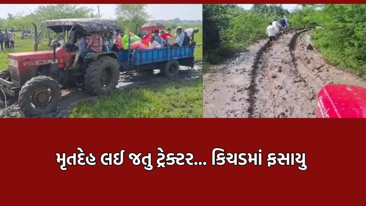 ગુજરાતના તથાકથિત વિકાસ મોડલના લીરેલીરા ઉડાડતા દૃશ્યો ડભોઈના કુકડ ગામેથી સામે આવ્યા, રસ્તાના અભાવે મૃતદેહને ટ્રેક્ટરમાં લઈ જવો પડ્યો- Video