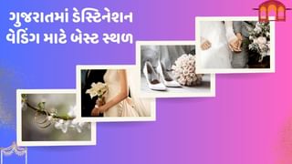 WeddingTips : તમે પણ ગુજરાતમાં જ ડેસ્ટિનેશન વેડિંગનું સપનું પૂર્ણ કરી શકો છો, આ સ્થળે આવશે રોયલ ફીલિંગ