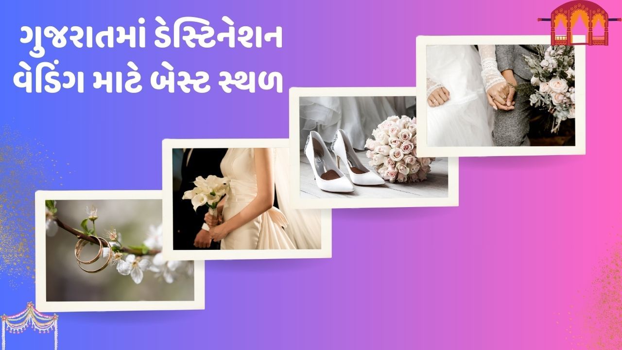  ડેસ્ટિનેશન વેડિંગમાં પણ કેટલાક લોકોનું સપનું બીચ પર હોય તો કોઈ પહાડોની વચ્ચે સ્થળ પસંદ હોય છે. કેટલાક લોકોને ડેસ્ટિનેશન વેડિંગમાં રોયલ લુક જોતો હોય છે. તો તમારે ચિંતા કરવાની જરુર નથી, ગુજરાતના આ સ્થળ પર ડેસ્ટિનેશન વેડિંગનું સપનું પૂર્ણ કરી શકો છો.