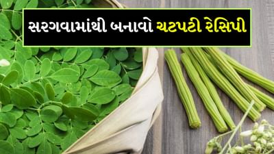 મોરિંગા એટલે કે ડ્રમસ્ટિકની શીંગો માત્ર સ્વાસ્થ્ય માટે જ ફાયદાકારક નથી, આ સિવાય સરગવાના પાન પણ સ્વાસ્થ્ય માટે વરદાનથી ઓછા નથી. સાઉથ ઈન્ડિયા સરગવાની શીંગો એટલે કે ડ્રમ સ્ટીક્સને સાંભારમાં ઉમેરીને તેનો વ્યાપકપણે ઉપયોગ કરવામાં આવે છે. સાંભાર માટે તે એક મહત્વપૂર્ણ ઘટક છે. તેમાં વિટામિન A, B6, વિટામિન C, પ્રોટીન, કેલ્શિયમ, પોટેશિયમ, આયર્ન જેવા ઘણા પોષક તત્વો મળી આવે છે. જો સરગવાને ડાયટમાં સામેલ કરવામાં આવે તો ઘણા ફાયદા થઈ શકે છે. સરગવા (ડ્રમસ્ટિક) હાડકાંને મજબૂત કરવા અને રોગપ્રતિકારક શક્તિ વધારવા માટે ખૂબ જ અસરકારક છે.