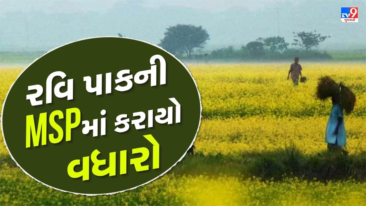 સરકારે દેશના કરોડો ખેડૂતોને દિવાળીની ભેટ આપી છે. તહેવાર પહેલા કેન્દ્રીય કેબિનેટની બેઠકમાં સરકારે 6 રવિ પાક માટે લઘુત્તમ ટેકાના ભાવ (MSP) વધારવાની મંજૂરી આપી હતી. આ માટે સરકાર 87,657 કરોડ રૂપિયા ખર્ચ કરશે. છ રવિ પાકો - ઘઉં, ચણા, મસૂર, સરસવ, જવ અને સૂર્યમુખીના બીજ માટે નવા લઘુત્તમ ટેકાના ભાવ જાહેર કરવામાં આવ્યા છે.