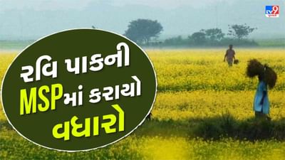 સરકારે દેશના કરોડો ખેડૂતોને દિવાળીની ભેટ આપી છે. તહેવાર પહેલા કેન્દ્રીય કેબિનેટની બેઠકમાં સરકારે 6 રવિ પાક માટે લઘુત્તમ ટેકાના ભાવ (MSP) વધારવાની મંજૂરી આપી હતી. આ માટે સરકાર 87,657 કરોડ રૂપિયા ખર્ચ કરશે. છ રવિ પાકો - ઘઉં, ચણા, મસૂર, સરસવ, જવ અને સૂર્યમુખીના બીજ માટે નવા લઘુત્તમ ટેકાના ભાવ જાહેર કરવામાં આવ્યા છે.